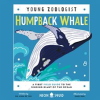 Humpback_Whale