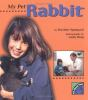 My_pet_rabbit