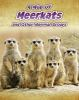 A_mob_of_meerkats__and_other_mammal_groups