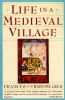 Life_in_a_medieval_village