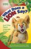 What_does_a_lion_say_