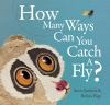 How_many_ways_____can_you_catch_a_fly_