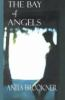 The_Bay_of_Angels