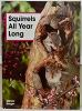 Squirrels_all_year_long