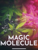 Magic_Molecule