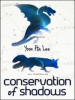 Conservation_of_Shadows
