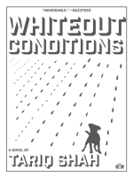 Whiteout_conditions