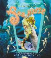 The_life_cycle_of_a_sea_horse