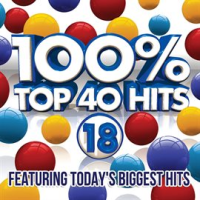 100__Top_40_Hits_18