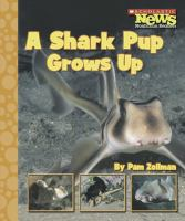 A_shark_pup_grows_up
