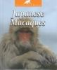 Japanese_macaques