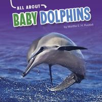 All_about_baby_dolphins